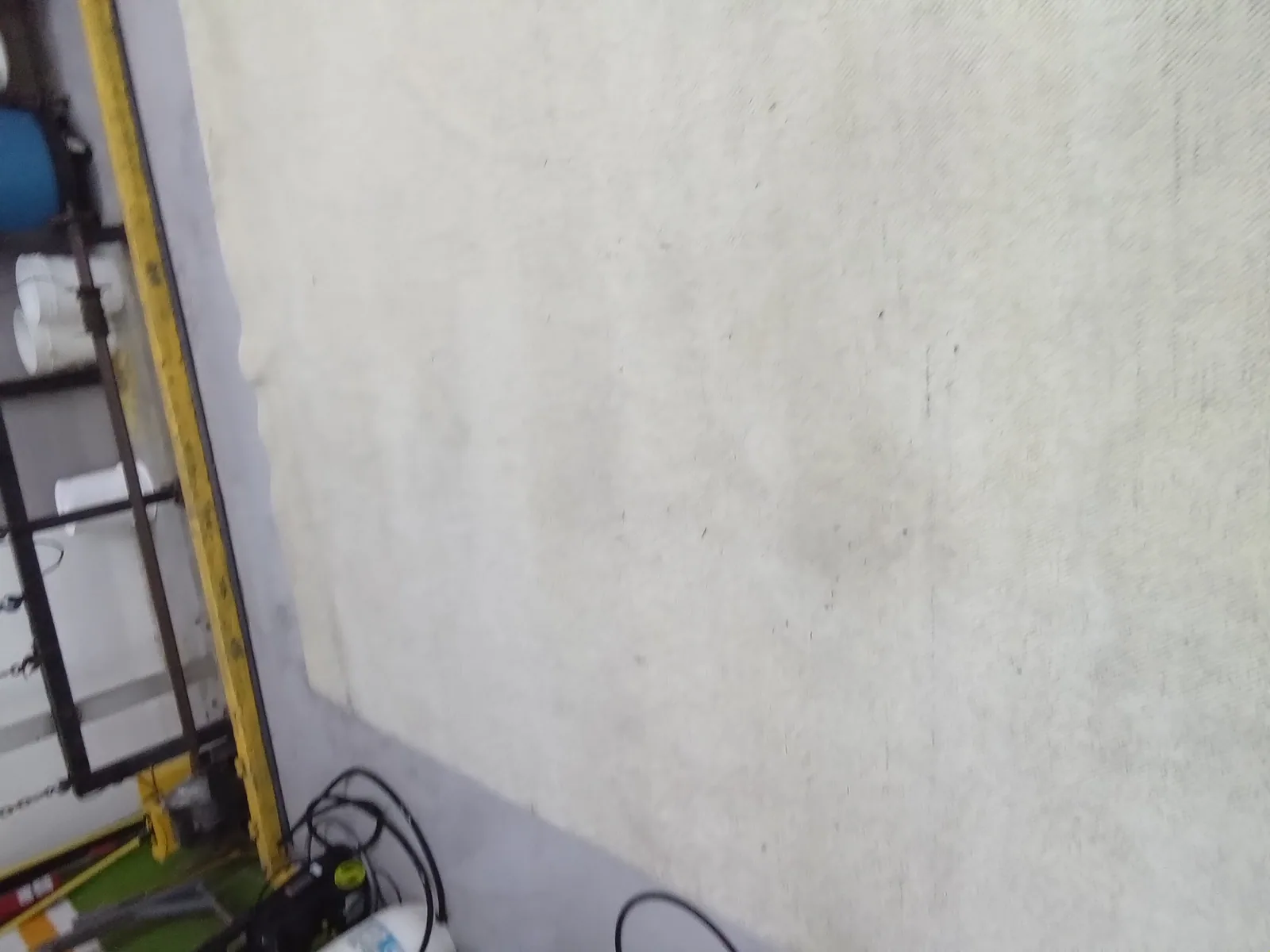 A cream rug laid out flat in daylight, picked up in Boca Raton